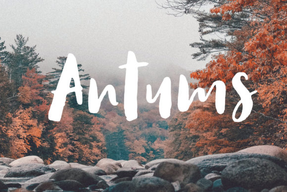 Antums: A Fresh Hand Drawn Brush Font for Branding