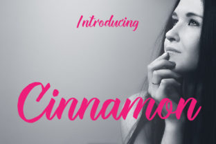 Cinnamon Font: Elegant Script for Handmade Brands